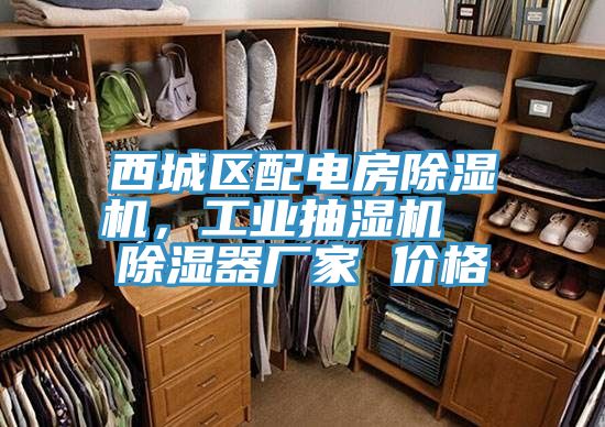 西城區(qū)配電房除濕機(jī)，工業(yè)抽濕機(jī)  除濕器廠家 價(jià)格