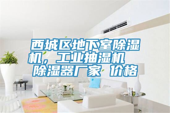 西城區(qū)地下室除濕機(jī)，工業(yè)抽濕機(jī)  除濕器廠家 價(jià)格