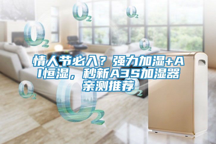 情人節(jié)必入？強力加濕+AI恒濕，秒新A3S加濕器親測推薦