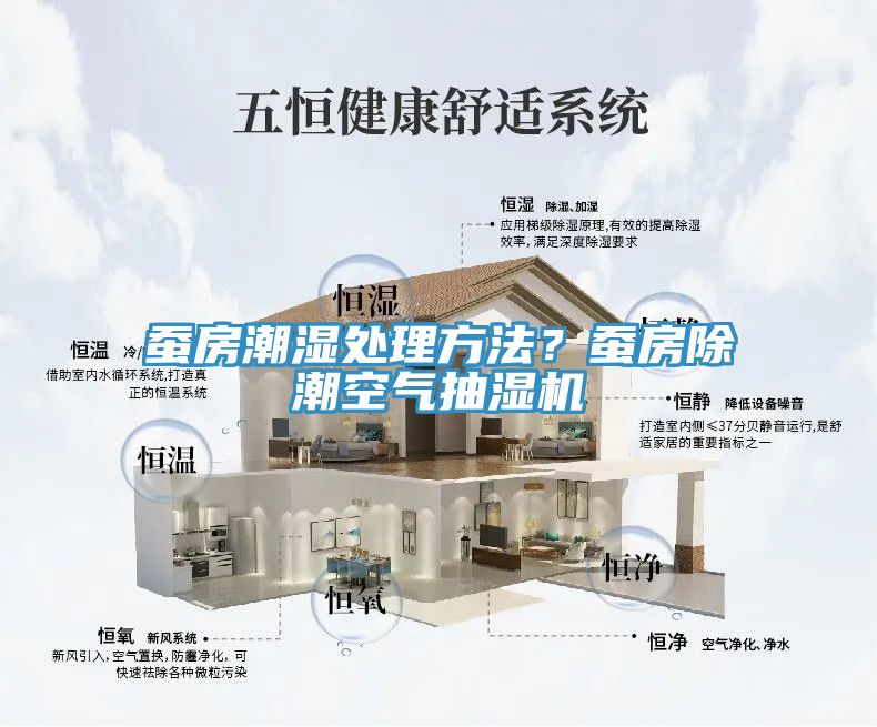 蠶房潮濕處理方法？蠶房除潮空氣抽濕機