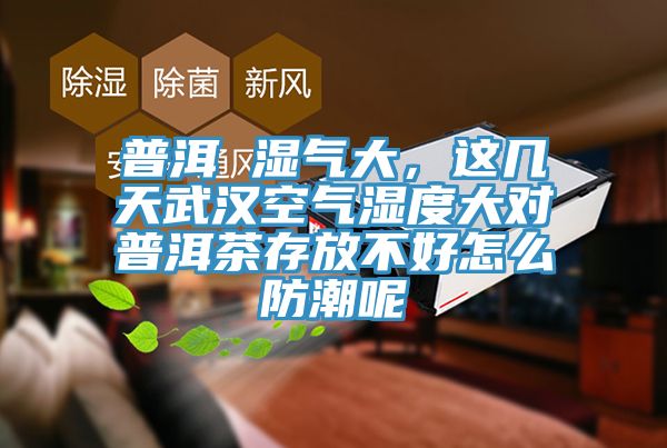 普洱 濕氣大，這幾天武漢空氣濕度大對普洱茶存放不好怎么防潮呢