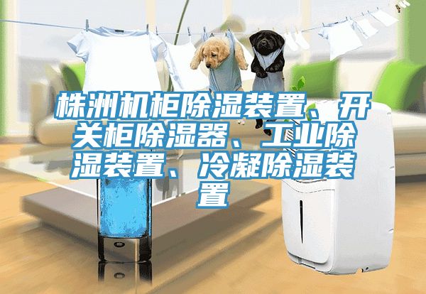 株洲機柜除濕裝置、開關(guān)柜除濕器、工業(yè)除濕裝置、冷凝除濕裝置