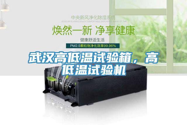 武漢高低溫試驗(yàn)箱，高低溫試驗(yàn)機(jī)