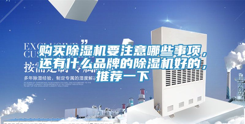 購買除濕機(jī)要注意哪些事項(xiàng)，還有什么品牌的除濕機(jī)好的，推薦一下