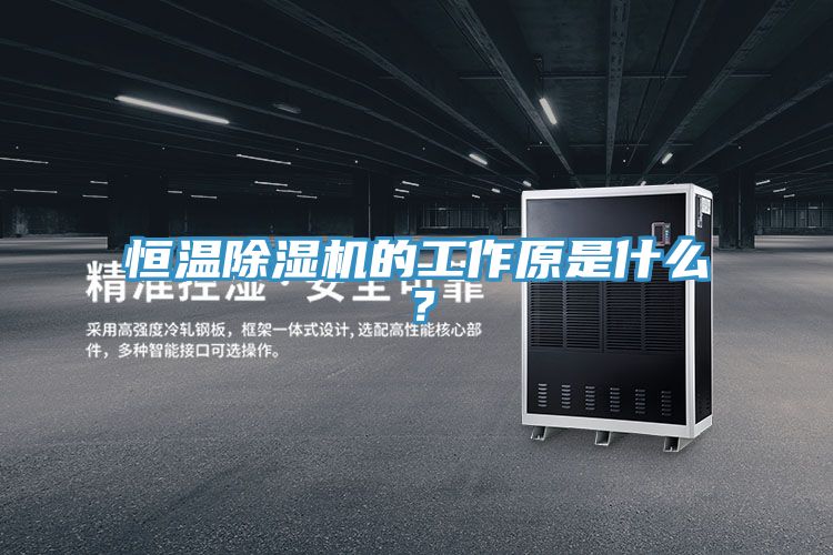 恒溫除濕機(jī)的工作原是什么？