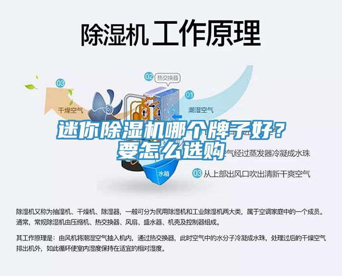 迷你除濕機(jī)哪個牌子好？要怎么選購