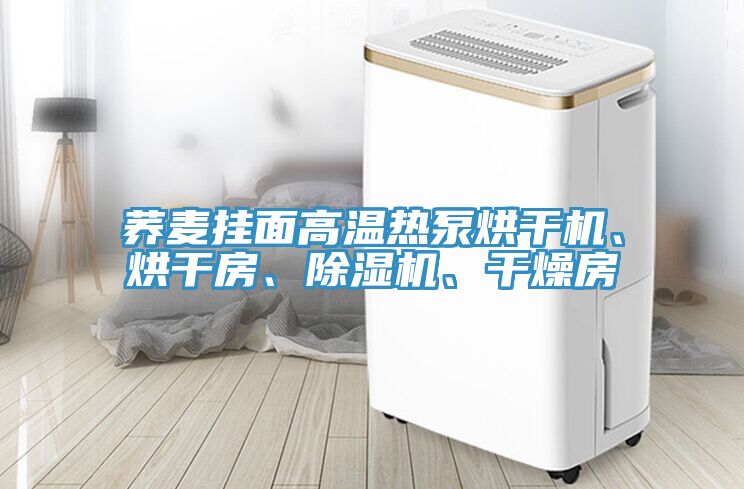 蕎麥掛面高溫熱泵烘干機、烘干房、除濕機、干燥房