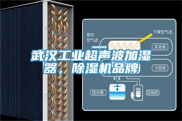 武漢工業(yè)超聲波加濕器，除濕機品牌