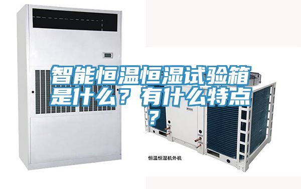 智能恒溫恒濕試驗(yàn)箱是什么？有什么特點(diǎn)？