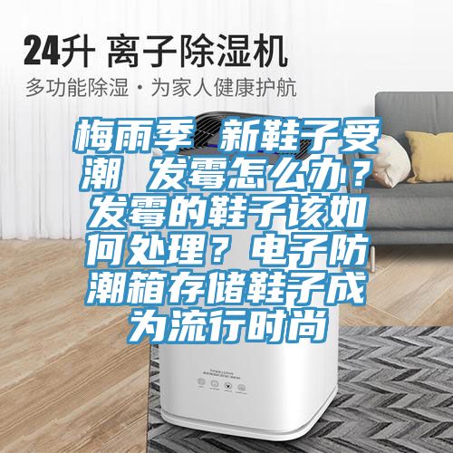 梅雨季 新鞋子受潮 發(fā)霉怎么辦？發(fā)霉的鞋子該如何處理？電子防潮箱存儲鞋子成為流行時尚