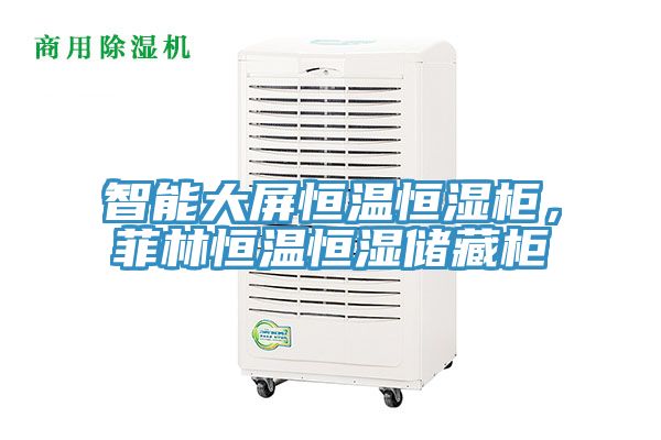 智能大屏恒溫恒濕柜，菲林恒溫恒濕儲(chǔ)藏柜