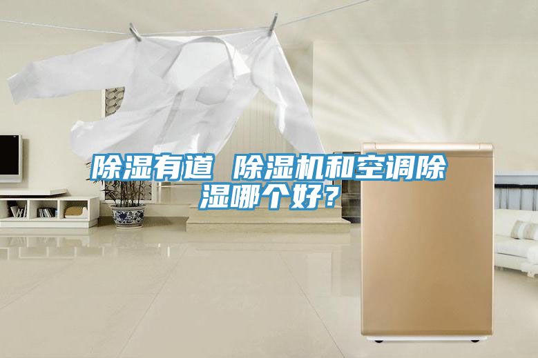 除濕有道 除濕機(jī)和空調(diào)除濕哪個(gè)好？
