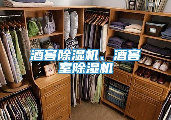 酒窖除濕機(jī)、酒窖室除濕機(jī)