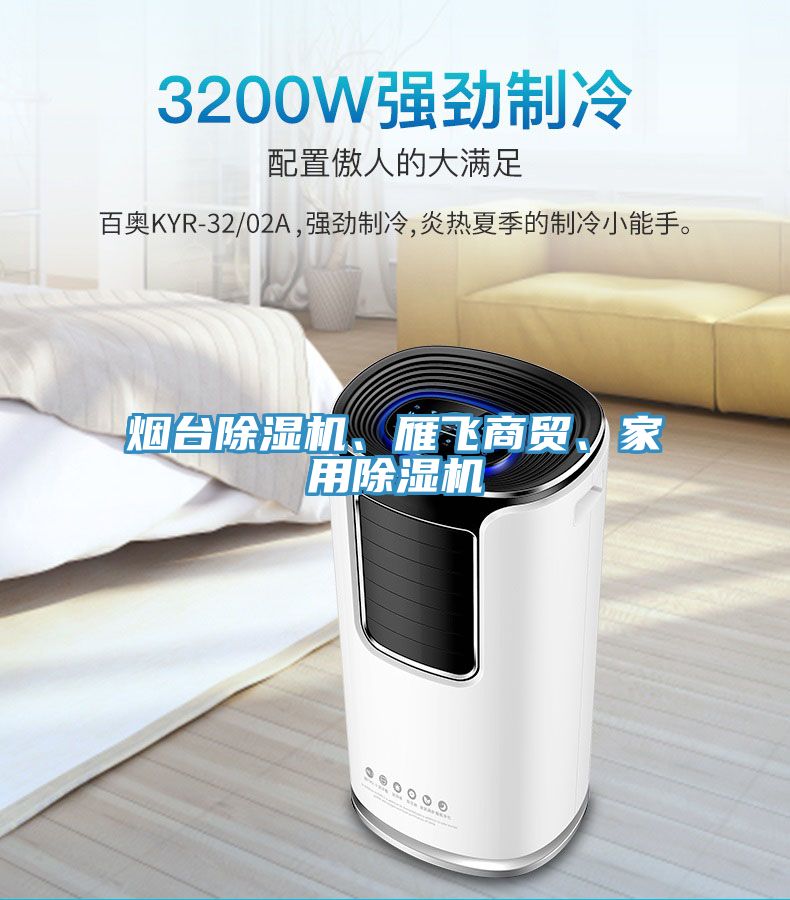 煙臺除濕機(jī)、雁飛商貿(mào)、家用除濕機(jī)