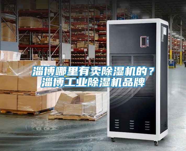 淄博哪里有賣(mài)除濕機(jī)的？淄博工業(yè)除濕機(jī)品牌
