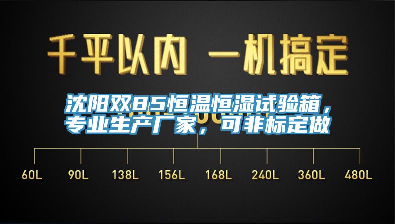 沈陽雙85恒溫恒濕試驗(yàn)箱，專業(yè)生產(chǎn)廠家，可非標(biāo)定做