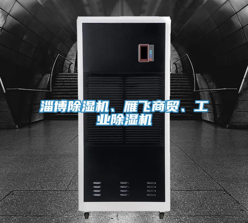 淄博除濕機、雁飛商貿、工業(yè)除濕機