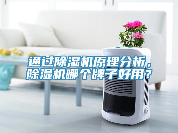 通過除濕機原理分析，除濕機哪個牌子好用？
