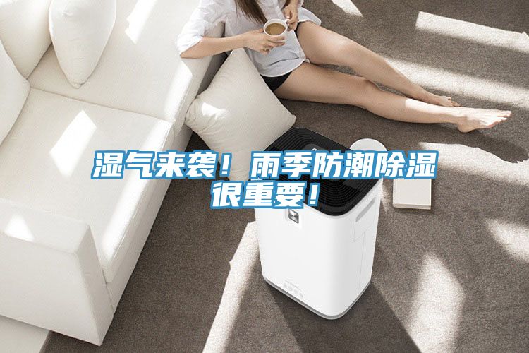 濕氣來襲！雨季防潮除濕很重要！