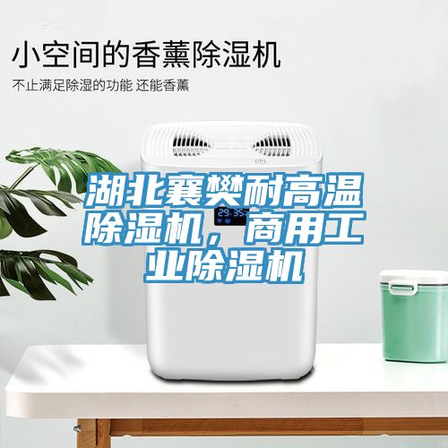 湖北襄樊耐高溫除濕機(jī)，商用工業(yè)除濕機(jī)