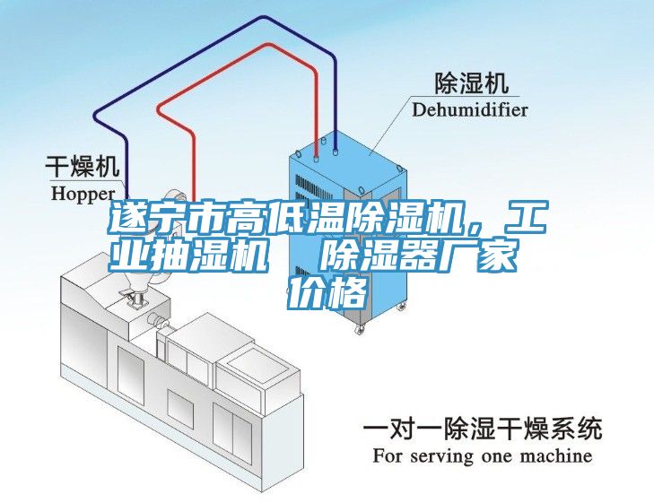遂寧市高低溫除濕機，工業(yè)抽濕機  除濕器廠家 價格