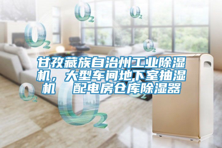 甘孜藏族自治州工業(yè)除濕機(jī)，大型車間地下室抽濕機(jī)  配電房倉庫除濕器