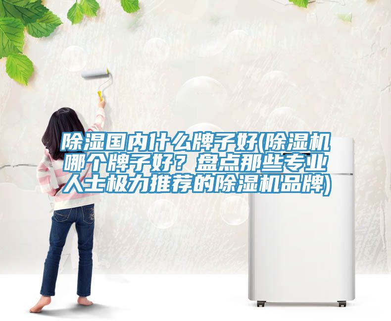 除濕國內(nèi)什么牌子好(除濕機(jī)哪個牌子好？盤點那些專業(yè)人士極力推薦的除濕機(jī)品牌)