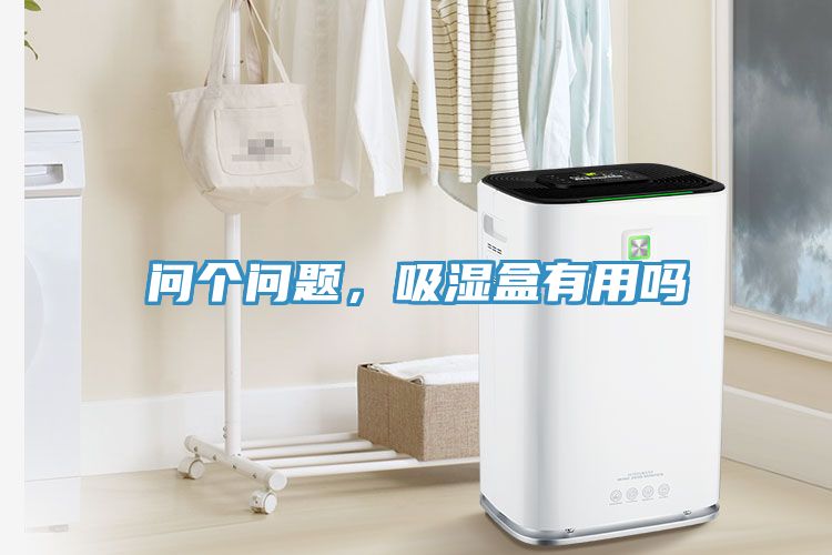 問個問題，吸濕盒有用嗎