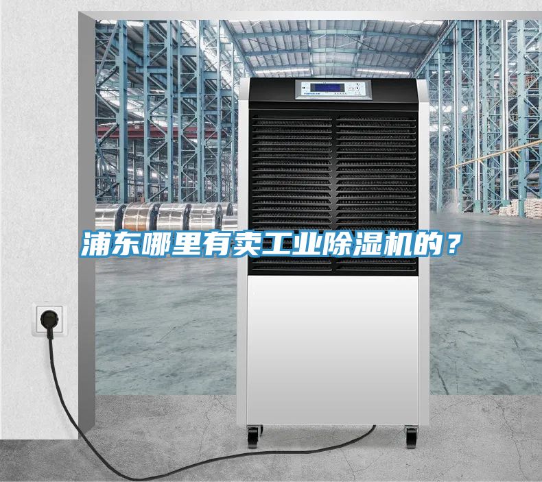 浦東哪里有賣工業(yè)除濕機的？