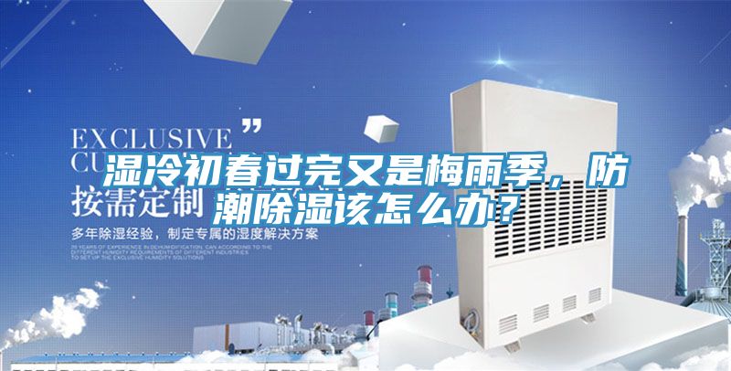 濕冷初春過完又是梅雨季，防潮除濕該怎么辦？