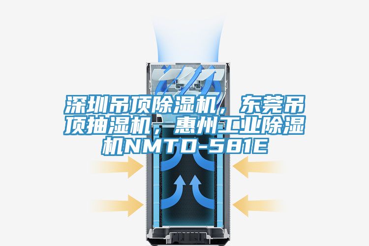 深圳吊頂除濕機，東莞吊頂抽濕機，惠州工業(yè)除濕機NMTD-581E