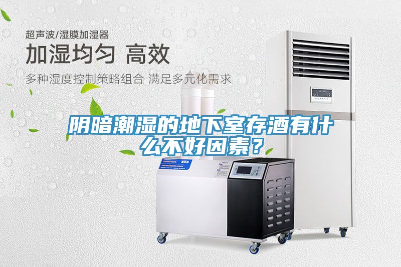陰暗潮濕的地下室存酒有什么不好因素？