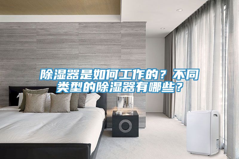 除濕器是如何工作的？不同類型的除濕器有哪些？