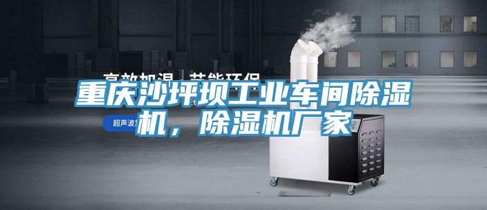 重慶沙坪壩工業(yè)車間除濕機(jī)，除濕機(jī)廠家