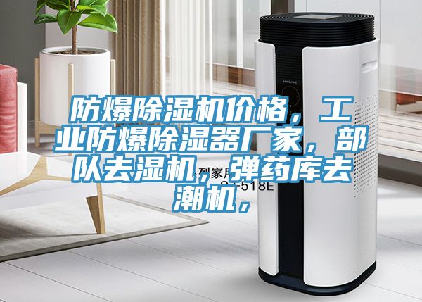 防爆除濕機(jī)價(jià)格，工業(yè)防爆除濕器廠家，部隊(duì)去濕機(jī)，彈藥庫(kù)去潮機(jī)，