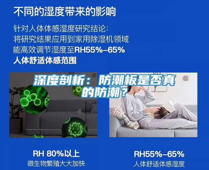 深度剖析：防潮板是否真的防潮？