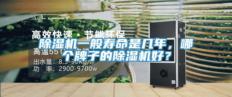 除濕機一般壽命是幾年，哪個牌子的除濕機好？