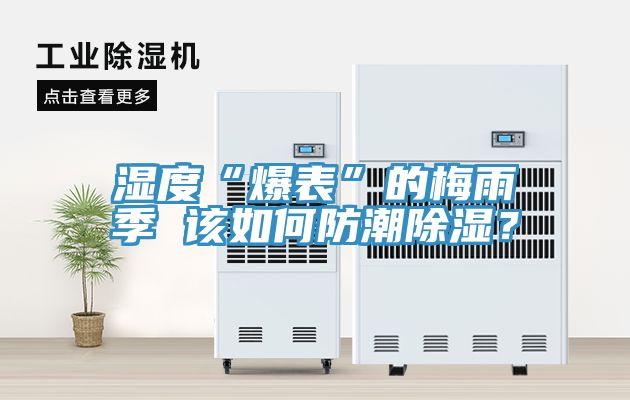 濕度“爆表”的梅雨季 該如何防潮除濕？