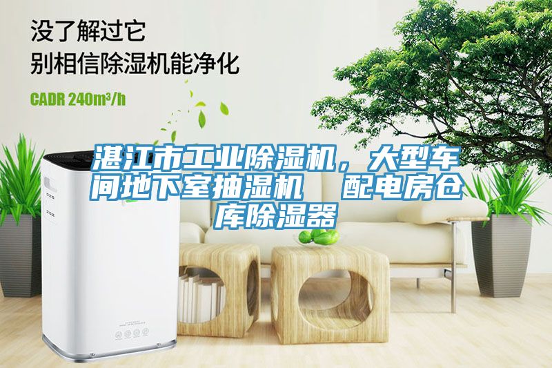 湛江市工業(yè)除濕機(jī)，大型車間地下室抽濕機(jī)  配電房倉庫除濕器