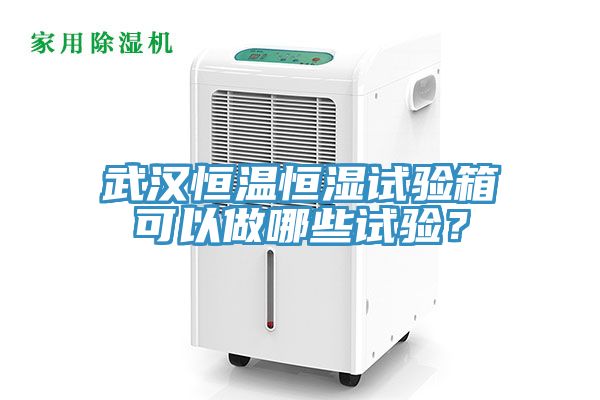 武漢恒溫恒濕試驗(yàn)箱可以做哪些試驗(yàn)？
