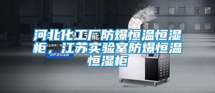 河北化工廠防爆恒溫恒濕柜，江蘇實(shí)驗(yàn)室防爆恒溫恒濕柜
