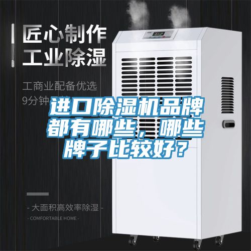 進(jìn)口除濕機(jī)品牌都有哪些，哪些牌子比較好？