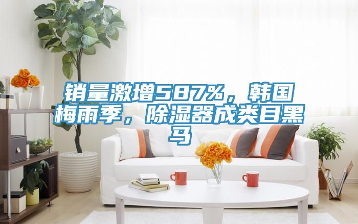 銷量激增587%，韓國梅雨季，除濕器成類目黑馬