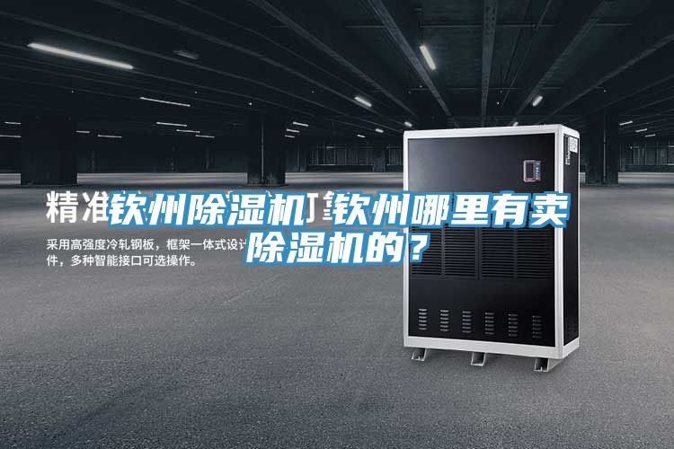 欽州除濕機(jī) 欽州哪里有賣除濕機(jī)的？