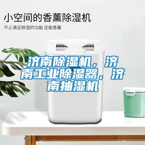 濟(jì)南除濕機(jī)，濟(jì)南工業(yè)除濕器，濟(jì)南抽濕機(jī)