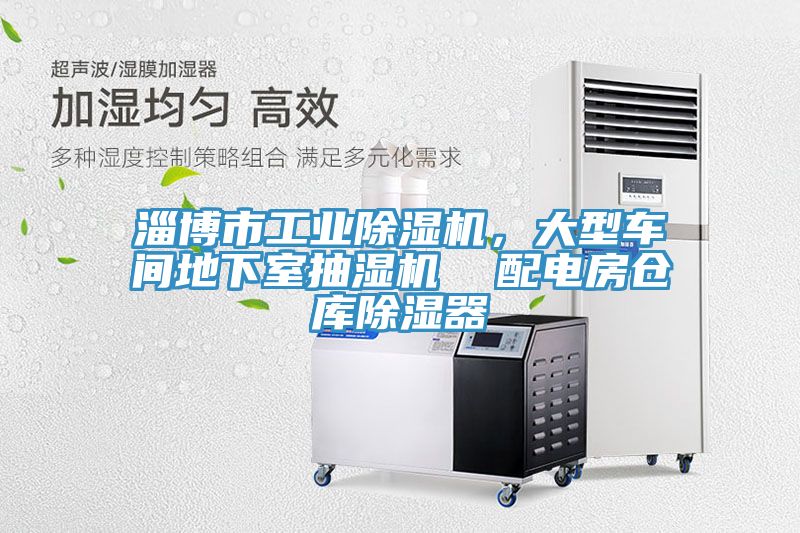 淄博市工業(yè)除濕機(jī)，大型車(chē)間地下室抽濕機(jī)  配電房倉(cāng)庫(kù)除濕器