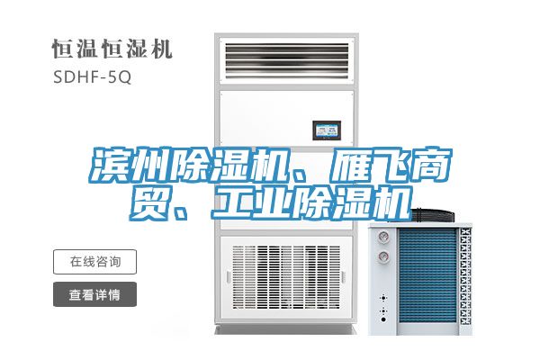 濱州除濕機(jī)、雁飛商貿(mào)、工業(yè)除濕機(jī)