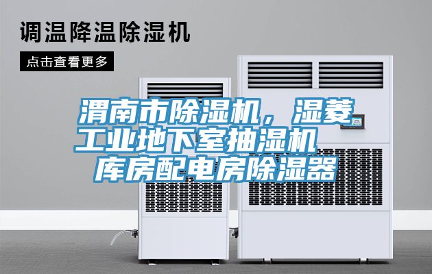 渭南市除濕機(jī)，濕菱工業(yè)地下室抽濕機(jī)  庫(kù)房配電房除濕器