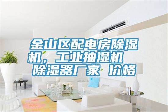 金山區(qū)配電房除濕機(jī)，工業(yè)抽濕機(jī)  除濕器廠家 價(jià)格