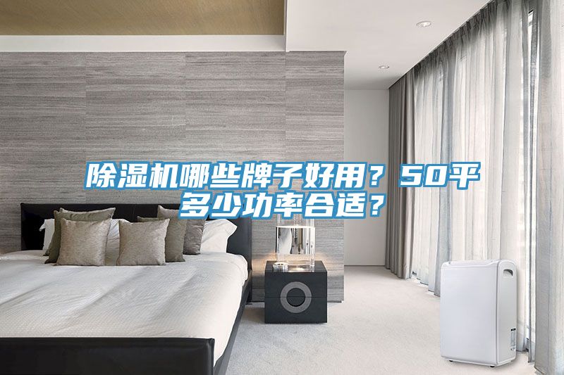除濕機哪些牌子好用？50平多少功率合適？
